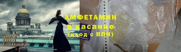 молекула духа Богданович