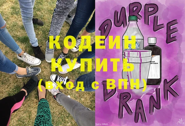 молекула духа Богданович