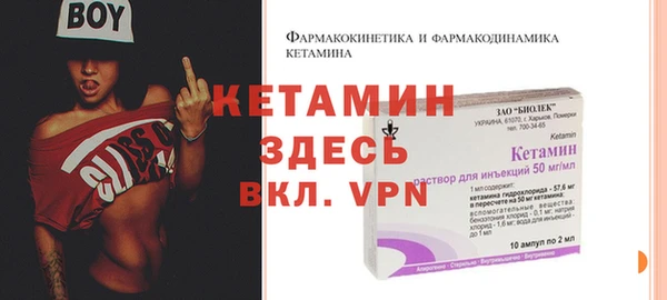 шишки Богородицк