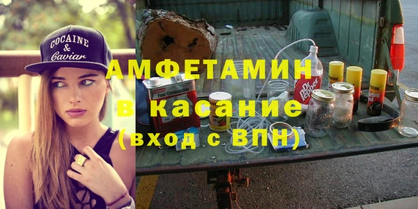 молекула духа Богданович