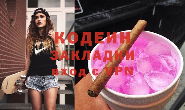 молекула духа Богданович