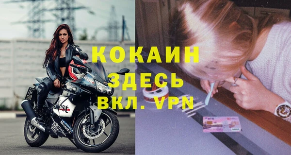 шишки Богородицк