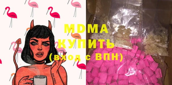 молекула духа Богданович