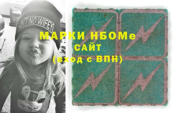 шишки Богородицк