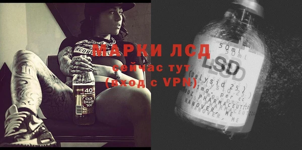 шишки Богородицк
