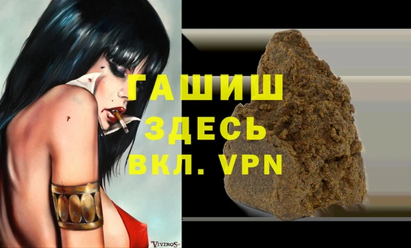 молекула духа Богданович