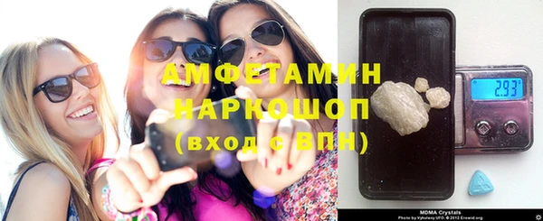шишки Богородицк