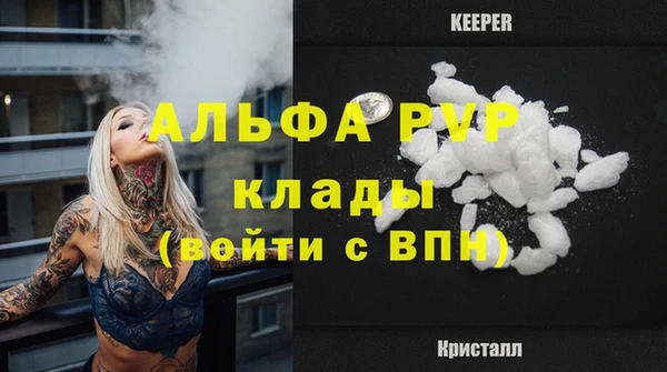 шишки Богородицк