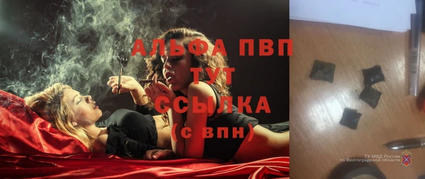 шишки Богородицк