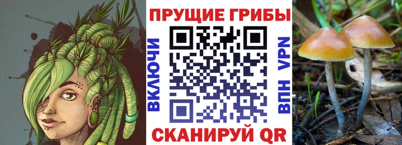 Галлюциногенные грибы GOLDEN TEACHER  Игра 