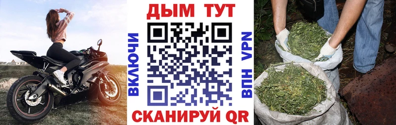 закладки  Игра  Бошки марихуана гибрид 